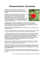Pflanzensteckbrief-Klatschmohn.pdf